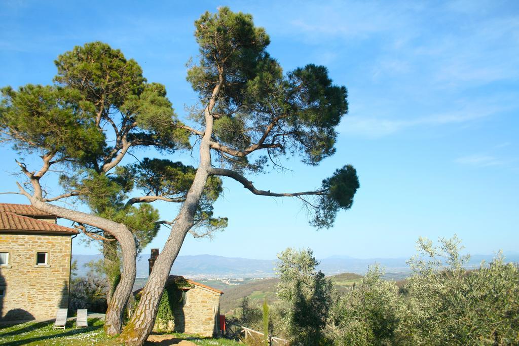 Relais Il Pozzeto Bed & Breakfast Anghiari Eksteriør bilde