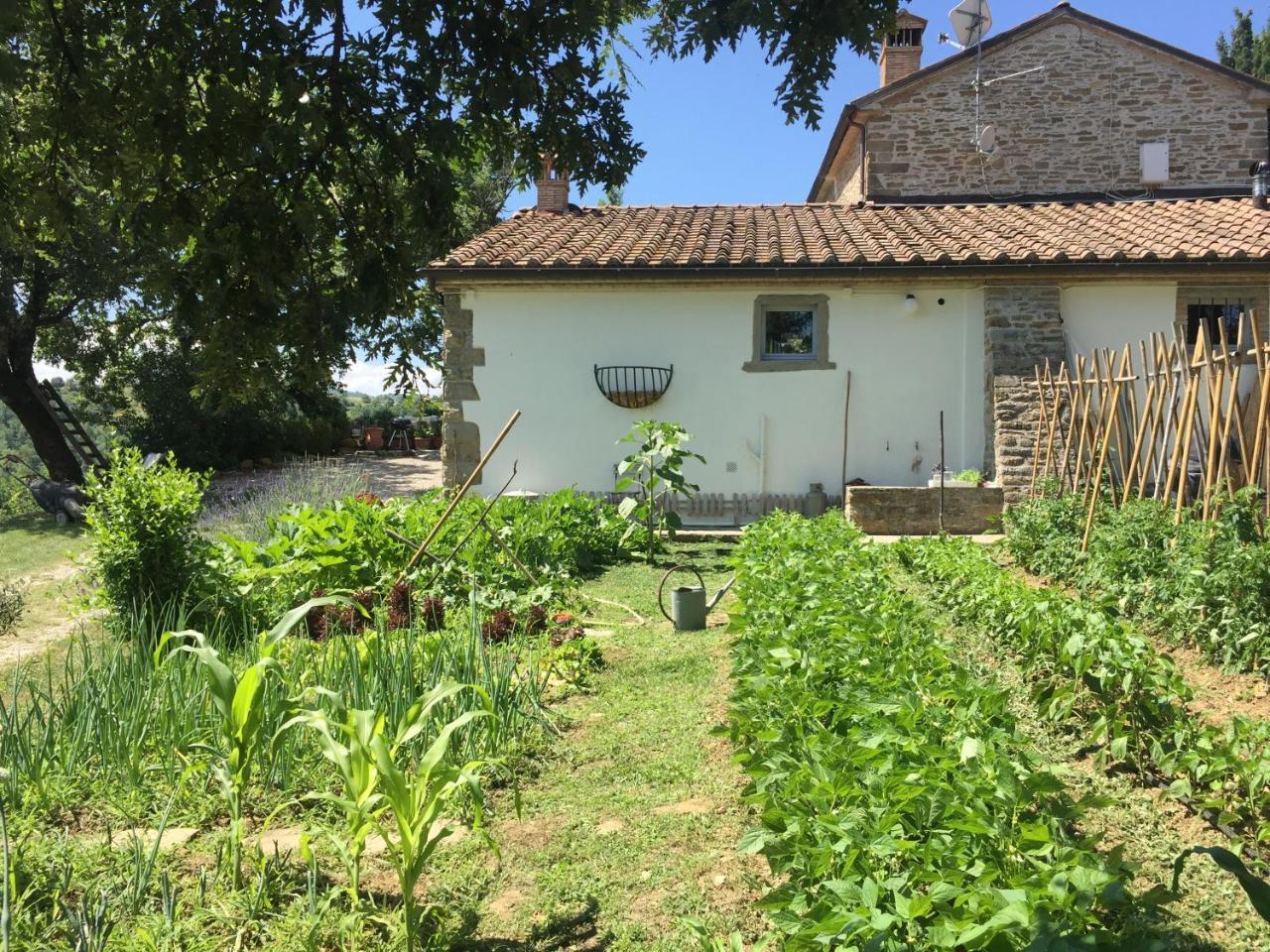 Relais Il Pozzeto Bed & Breakfast Anghiari Eksteriør bilde